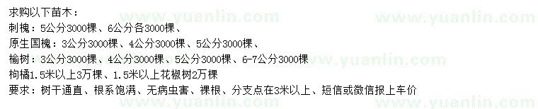 求購刺槐、原生國槐、榆樹等