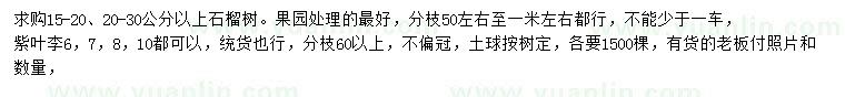 求購15-20、20-30公分以上石榴樹、6、7、8、10公分紫葉李
