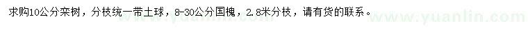 求購10公分欒樹(shù)、8-30公分國槐