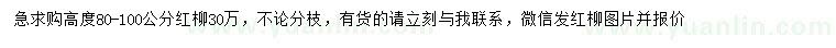 求購高80-100公分紅柳