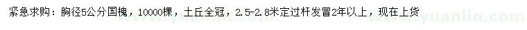 求購胸徑5公分國槐