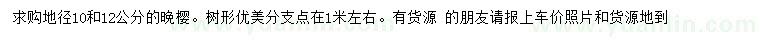 求購(gòu)地徑10、12公分晚櫻