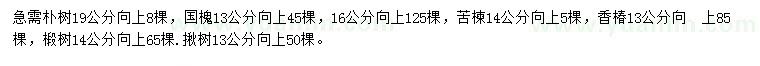 求購樸樹、國槐、苦楝等