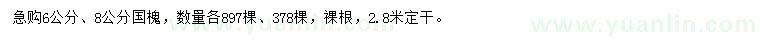 求購(gòu)8公分國(guó)槐