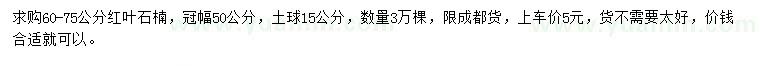 求購60-75公分紅葉石楠