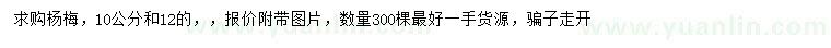 求購10、12公分楊梅