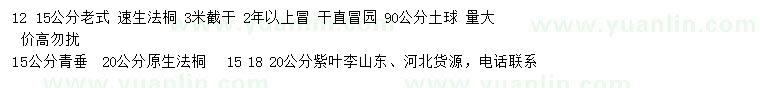 求購法桐、青垂、紫葉李