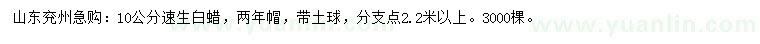 求購10公分速生白蠟