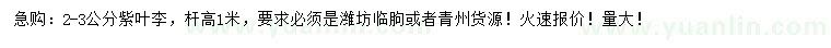 求購2-3公分紫葉李
