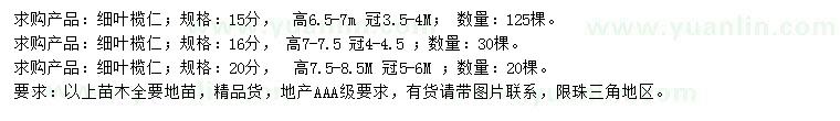 求購15、16、20公分細(xì)葉欖仁
