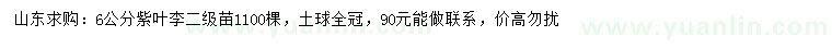 求購(gòu)6公分紫葉李