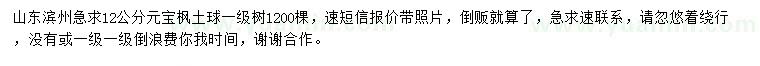 求購12公分元寶楓