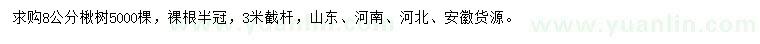 求購8公分楸樹
