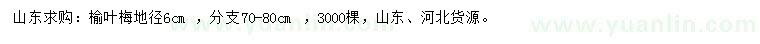 求購(gòu)地徑6公分榆葉梅