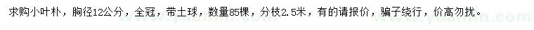 求購胸徑12公分小葉樸