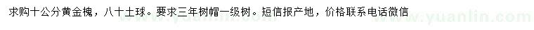 求購10公分黃金槐 
