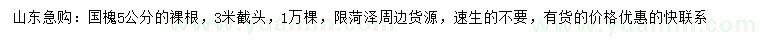 求購5公分國槐