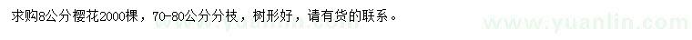 求購8公分櫻花