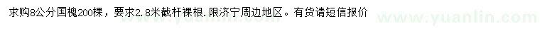 求購8公分國槐