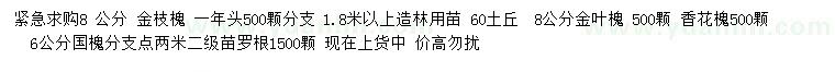 求購金枝槐、香花槐、國槐