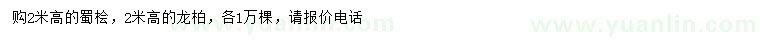 求購高2米蜀檜、龍柏