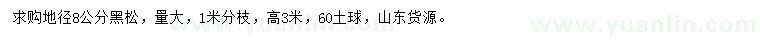求購(gòu)地徑8公分黑松