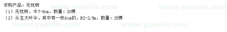 求購(gòu)7-8公分無(wú)憂樹、高2-2.5米從生大葉傘