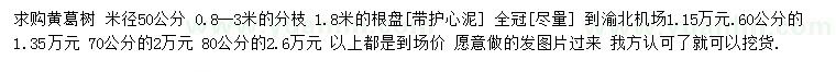 求購米徑50、60、70、80公分黃葛樹