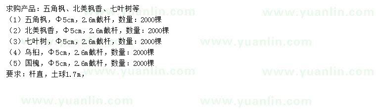 求購五角楓、北美楓香、七葉樹等