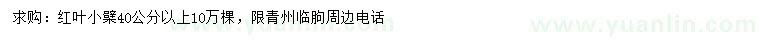 求購40公分以上紅葉小檗