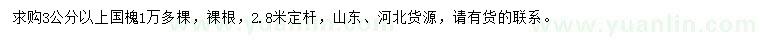 求購3公分以上國槐