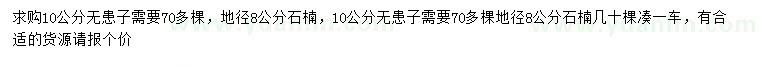 求購無患子、石楠、無患子