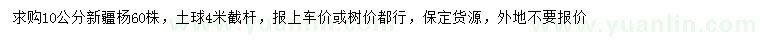 求購10公分新疆楊