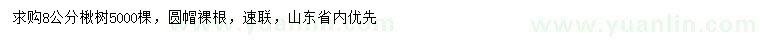 求購8公分楸樹