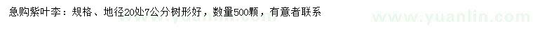 求購(gòu)20量7公分紫葉李