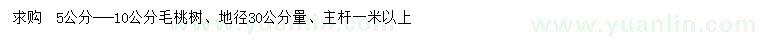 求購5-10公分毛桃樹