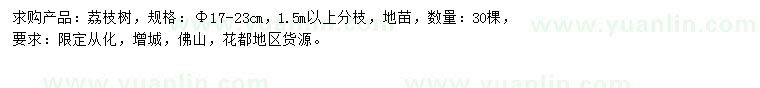 求購17-23公分荔枝樹