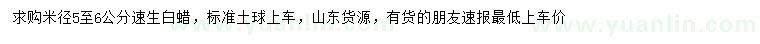 求購米徑5-6公分速生白蠟 
