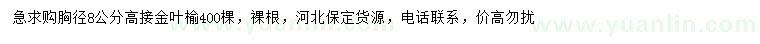求購胸徑8公分高接金葉榆