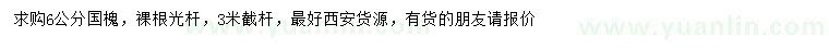 求購6公分國槐