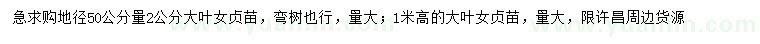 求購50公分量2公分、高1米大葉女貞