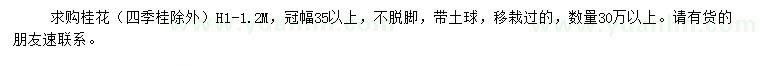 求購高1-1.2米桂花