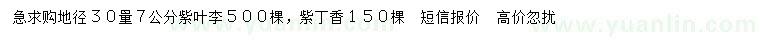 求購30量7公分紫葉李、紫丁香