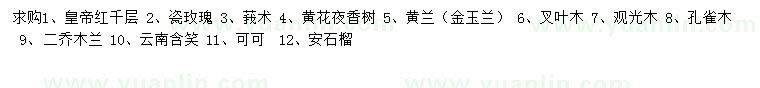 求購皇帝紅千層、瓷玫瑰、莪術(shù)等