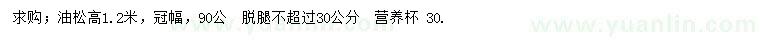 求購高1.2米油松