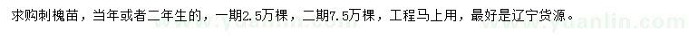 求購當(dāng)年、二年生刺槐苗