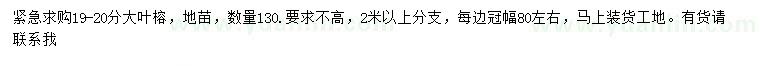 求購19-20公分大葉榕