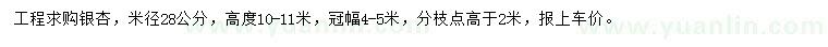 求購米徑28公分銀杏