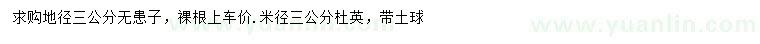 求購地徑3公分無患子、米徑3公分杜英