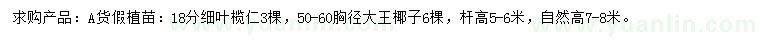 求購18公分細葉欖仁、胸徑50-60公分大王椰子